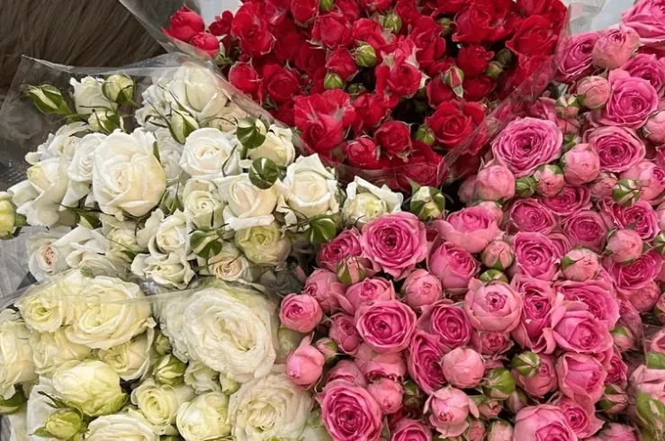 Интернет-магазин «Розы 76»