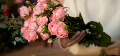 Розы: в чем секрет их популярности?