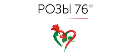 Розы 76
