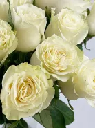 Фото товара мини