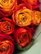 Фото товара мини