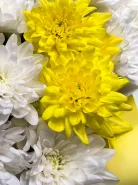 Фото товара мини