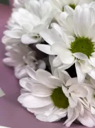 Фото товара мини