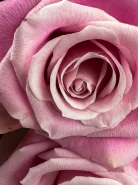 Фото товара мини