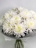 Фото товара мини