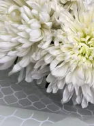 Фото товара мини