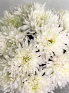 Фото товара мини