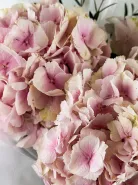 Фото товара мини