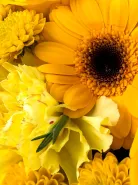 Фото товара мини