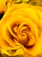 Фото товара мини