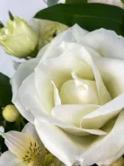 Фото товара мини