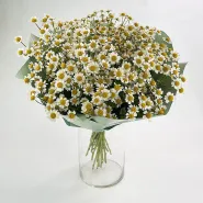 Фото товара мини