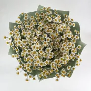 Фото товара мини