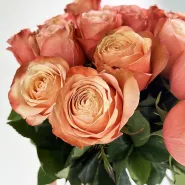 Фото товара мини