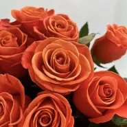 Фото товара мини