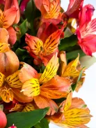 Фото товара мини