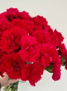 Фото товара мини