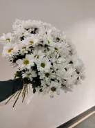 Фото товара мини