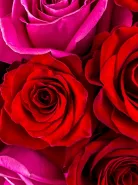 Фото товара мини