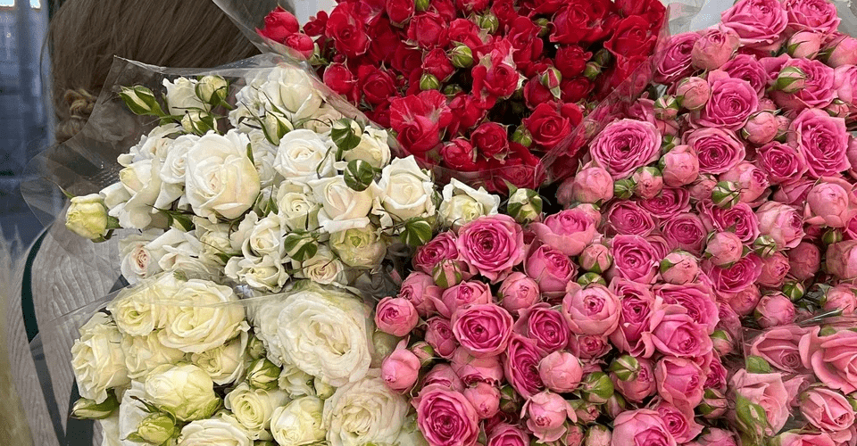 Интернет-магазин «Розы 76»