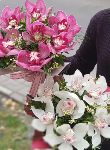 Монобукет из орхидей «Шарм» от интернет-магазина цветов в 