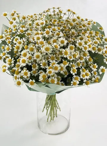 Букет &laquo;Ромашка&raquo; от интернет-магазина цветов в 