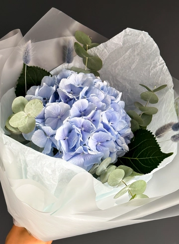 Комплимент из гортензии «Очарование» от интернет-магазина цветов в 