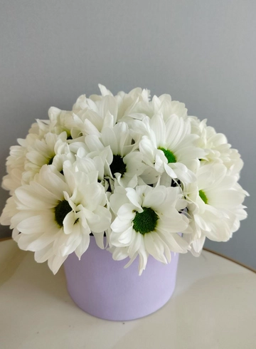 Ромашки от интернет-магазина цветов в 